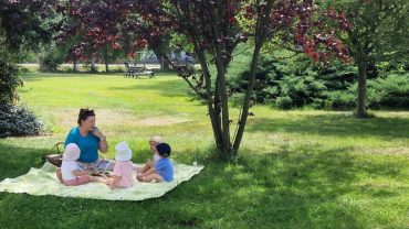 Picknick im Grünen